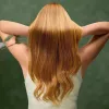 Cecotec Plaukų džiovintuvas IoniCare Dry&Keratin Olive 1200 W joninė funkcija 1 temperatūros nustatymas Žalia