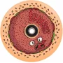 Chubby Wheel 110mm Burger Boy Scooter Wheel - 88A Uretanas, Aliuminio Šerdis