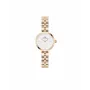 DANIEL WELLINGTON Petite Lumine Moteriškas Laikrodis 22mm Rožinis Auksas Nerūdijančio Plieno Tinklelis DW00100717