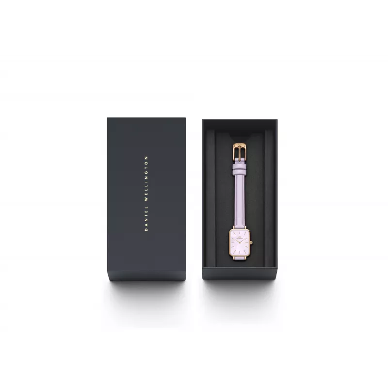 DANIEL WELLINGTON Petite Lumine Moteriškas Laikrodis DW00100637 20mm Sidabrinis Tinklelis