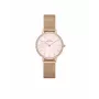 DANIEL WELLINGTON Moteriškas laikrodis DW00100663 28mm Rožinis auksas Nerūdijančio plieno tinklelis