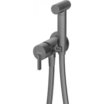 DEANTE Paslėptas bidė maišytuvas su bidet dušo galvute Chromuotas