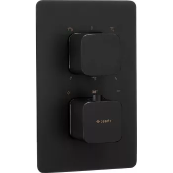 DEANTE Išorinis Elementas Termostatiniam BOX - Brushed Gold - OMNIRES Y