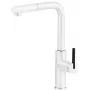 DEANTE virtuvės maišytuvas su ištraukiama galvute Chrome
