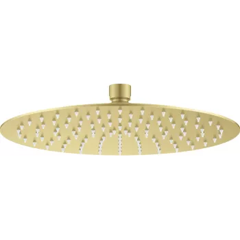 DEANTE Nerūdijančio plieno apvalus lietaus dušo galvutė 250 mm