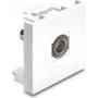Delock Easy 45 modulis BNC lizdas – BNC lizdas, baltas (91813)