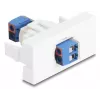 Delock Easy 45 modulis su gnybtų bloku, baltas (90912)