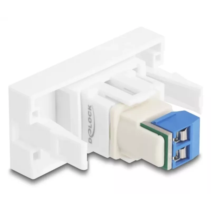 Delock Easy 45 modulis su gnybtų bloku, baltas (90912)