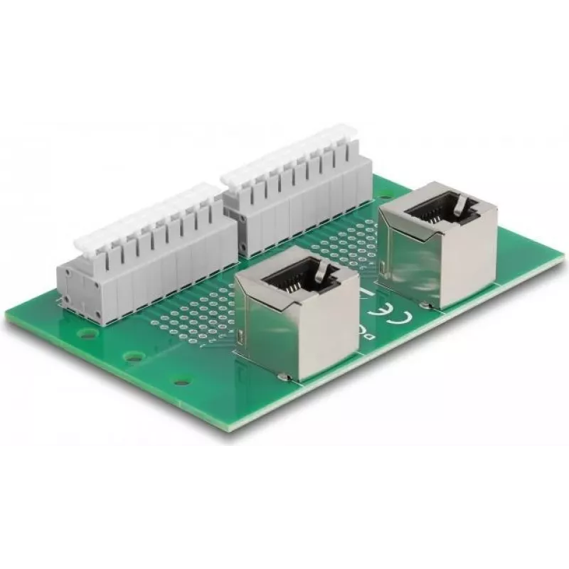 Delock RJ45 2 x moteriški lizdai į 2 x gnybtų bloką su mygtuku DIN bėgiui, kampuotas (66995)