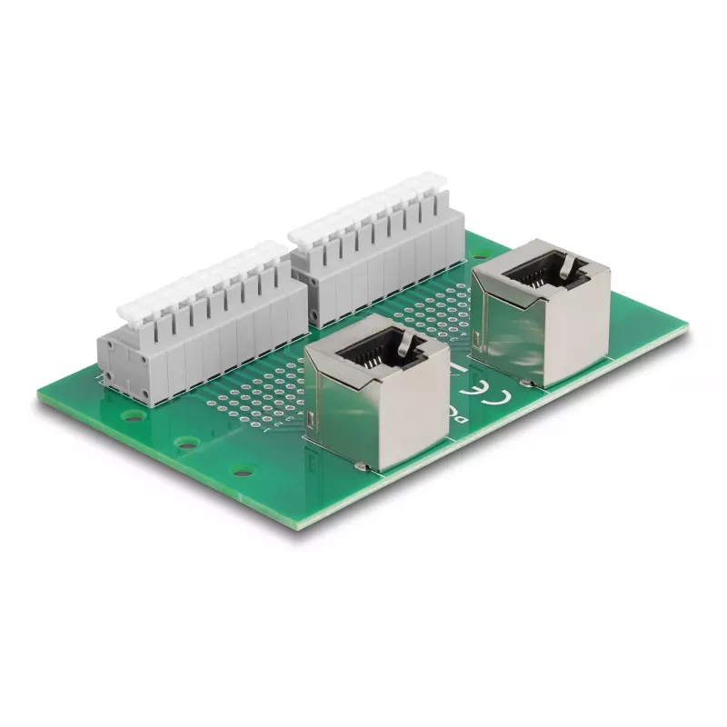 Delock RJ45 2 x moteriški lizdai į 2 x gnybtų bloką su mygtuku DIN bėgiui, kampuotas (66995)