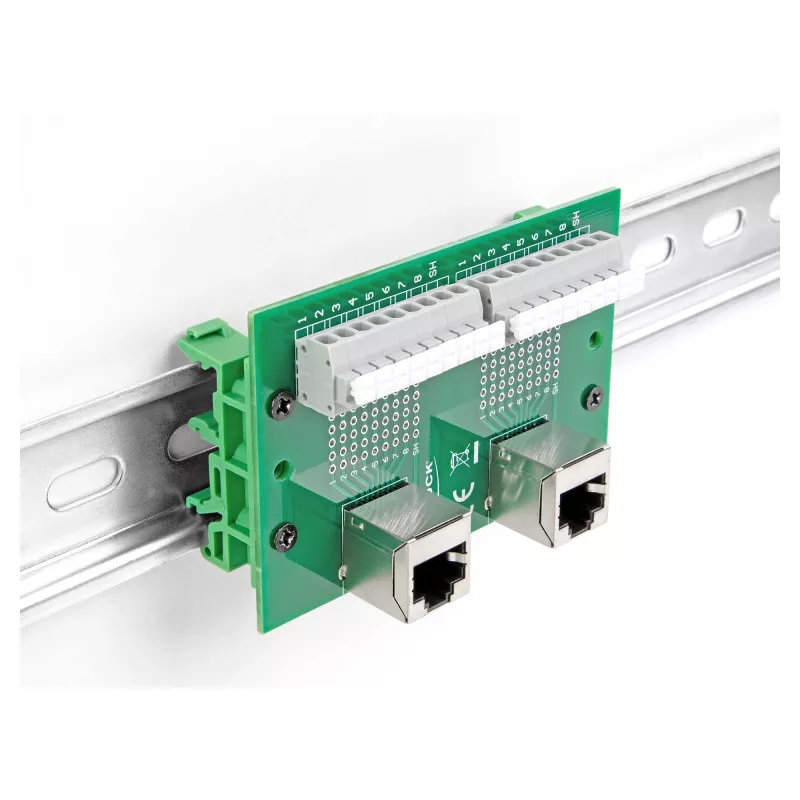Delock RJ45 2 x moteriški lizdai į 2 x gnybtų bloką su mygtuku DIN bėgiui, kampuotas (66995)