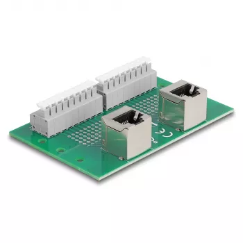 Delock RJ45 2 x moteriški lizdai į 2 x gnybtų bloką su mygtuku DIN bėgiui, kampuotas (66995)