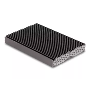 Delock USB Type-C dvigubas kombinuotas M.2 NVMe PCIe arba SATA SSD dėklas - be įrankių
