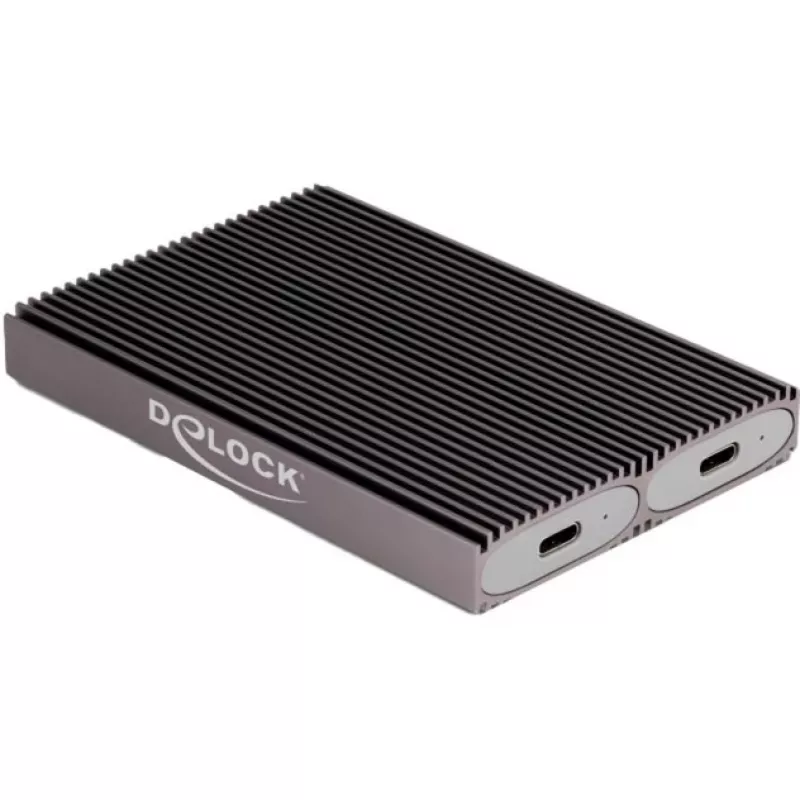 Delock USB Type-C dvigubas kombinuotas M.2 NVMe PCIe arba SATA SSD dėklas - be įrankių