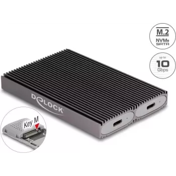 Delock USB Type-C dvigubas kombinuotas M.2 NVMe PCIe arba SATA SSD dėklas - be įrankių