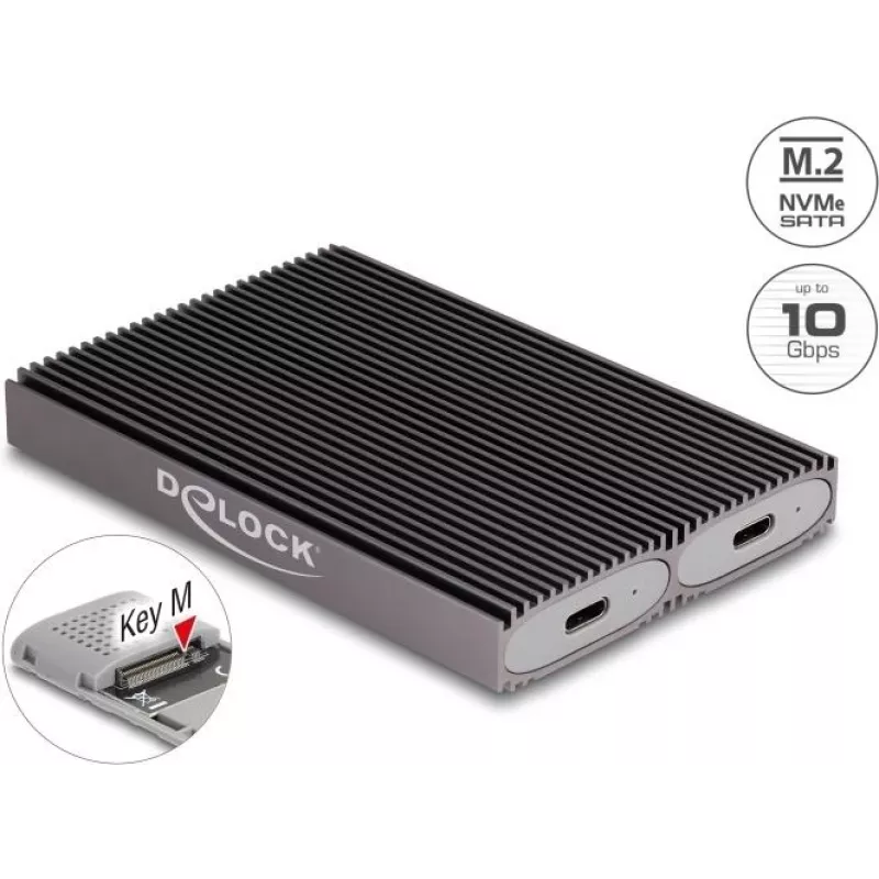 Delock USB Type-C dvigubas kombinuotas M.2 NVMe PCIe arba SATA SSD dėklas - be įrankių