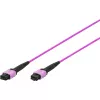 DIGITUS OM4 MPO į MPO 12 pluoštų komutacinis kabelis, 2m, A metodas, violetinis DK-2566-02/4