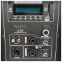 DNA PROFESSIONAL DNA SPX15 DSP Active Loudspeaker 15