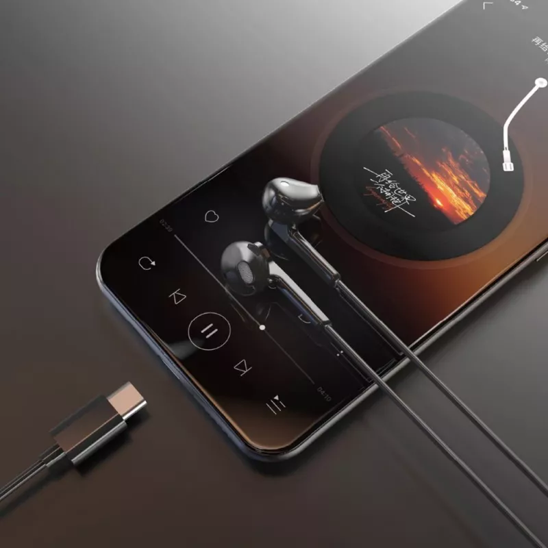 Dudao X3C In-Ear Wired USB-C Headphones 1,2m - Black