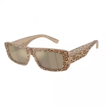 EMPORIO ARMANI Moteriški Saulės akiniai EA4229U61195A Cat Eye Skaidriai Pilkas Rėmelis Pilki Gradientiniai Lęšiai 55mm