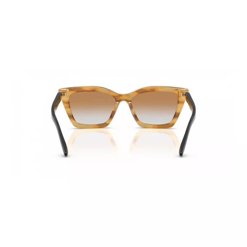 EMPORIO ARMANI Moteriški Akiniai Nuo Saulės EA4250U62692Q Cat Eye Skaidrūs Pilki 54mm