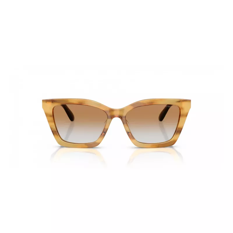 EMPORIO ARMANI Moteriški Akiniai Nuo Saulės EA4250U62692Q Cat Eye Skaidrūs Pilki 54mm