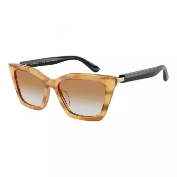 EMPORIO ARMANI Moteriški Akiniai Nuo Saulės EA4250U62692Q Cat Eye Skaidrūs Pilki 54mm