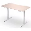 ENDORFY Atlas S Electric reguliuojamo aukščio stalas šviesus medis 120x60 cm