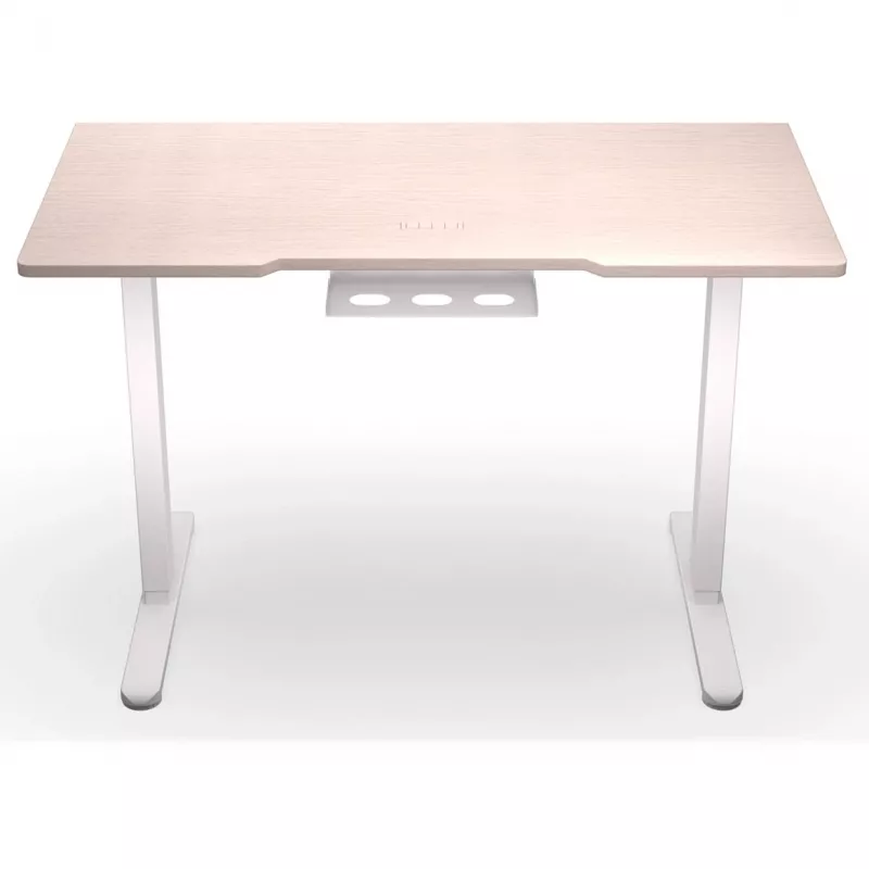 ENDORFY Atlas S Electric reguliuojamo aukščio stalas šviesus medis 120x60 cm