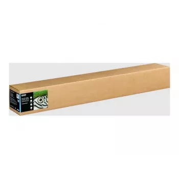 Epson Fine Art II Cotton Smooth Matte Natural White 300g/m² rulonas (111,76 cm x 15 m)