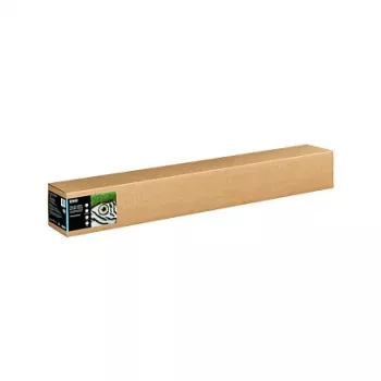 Epson Fine Art II Cotton Smooth Matte Natural White 300g/m² rulonas (111,76 cm x 15 m)