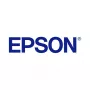Epson UltraChrome GS3 T45LB00 Metalinis sidabras 500 ml rašalo pakuotė