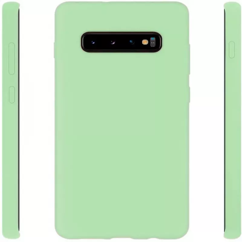Evelatus Samsung Galaxy S10+ nano silikoninis dėklas Soft Touch TPU mėtų spalvos