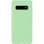 Evelatus Samsung Galaxy S10+ nano silikoninis dėklas Soft Touch TPU mėtų spalvos