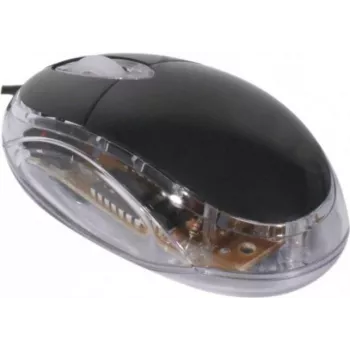 Exertis Connect 320300 abiem rankoms skirta USB optinė pelė, 800 DPI, juoda