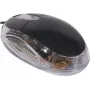 Exertis Connect 320300 abiem rankoms skirta USB optinė pelė, 800 DPI, juoda