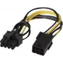 EXERTIS CONNECT PCI Express 6-Pin į 8-Pin maitinimo adapterio kabelis vaizdo plokštėms (146695)