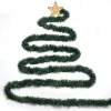 Extralink Christmas Garland, dekoratyvinė grandinė 5m - USB maitinamos LED lemputės, šiltai baltos, vidaus erdvėms