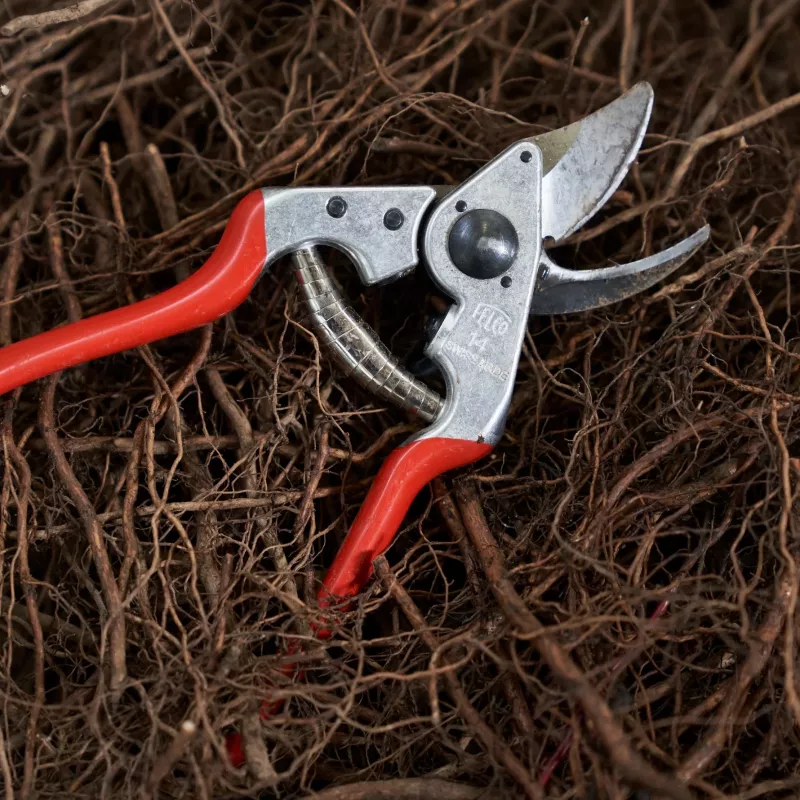 FELCO 14 vienos rankos genėjimo žirklės – grūdinto plieno peilis, kalti aliuminio rankenos, 195 mm