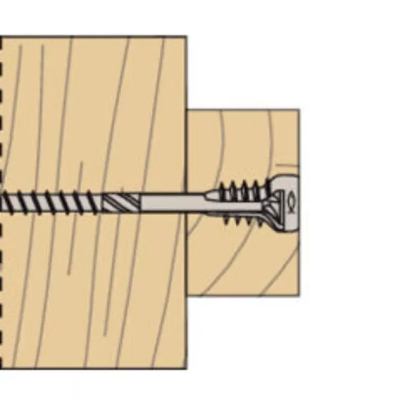 Fischer 558881 FAFS reguliavimo varžtas 5 mm x 100 mm T-profilio plieninis cinkuotas Torx T25 įleidžiama galvutė (100 vnt.)