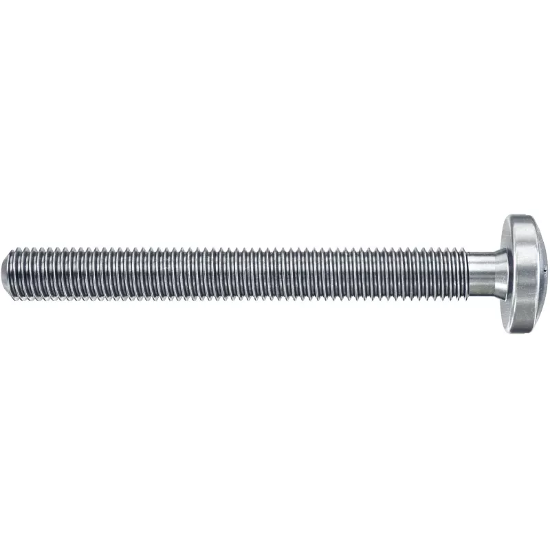 Fischer DuoHM 5x55 S PH TX tuščiavidurių sienų inkarų rinkinys, 4 vnt. 572915