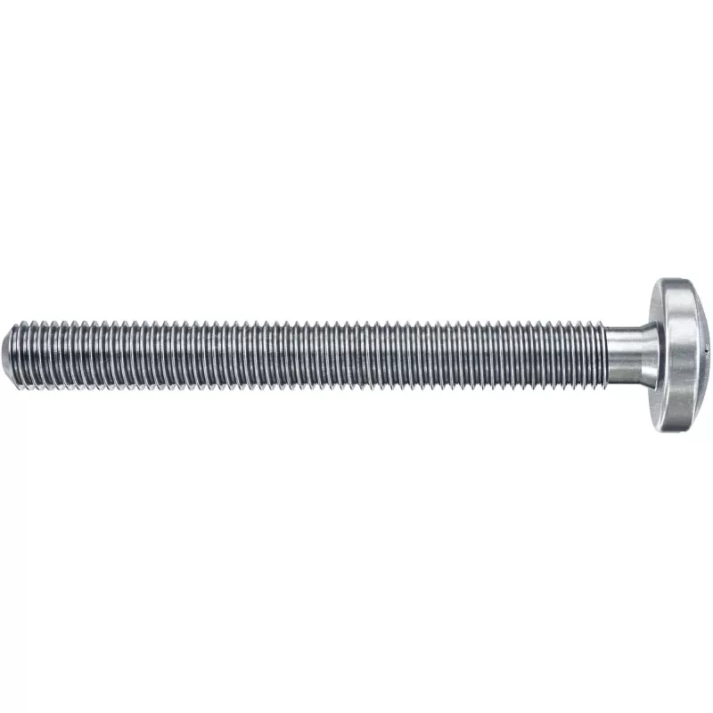 Fischer DuoHM 6x55 S tuščiavidurių sienų inkaras su varžtais, 4 vnt. 572913