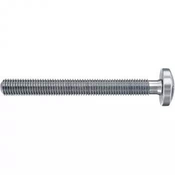 Fischer DuoHM 6x55 S PH TX tuščiavidurių sienų inkaras 55 mm, 4 vnt. 572916