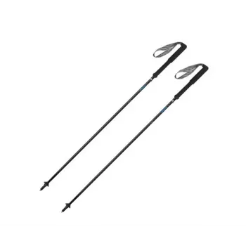 Gabel Carbon Feather-R slidinėjimo lazdos 110 cm – HM Carbon, kamštinė rankena, lenktyninė platforma