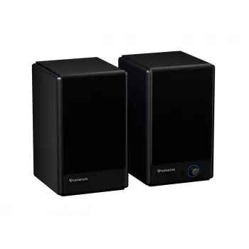 Genesis Arsen 402BT NGS-2415 stalinės kolonėlės, 2.0, 60 W, Bluetooth 5.3, juodos