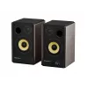 GENESIS ARSEN 402BT 2 krypčių bronzos spalvos laidinės ir belaidės 60 W kolonėlės