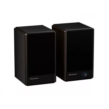 GENESIS ARSEN 402BT 2 krypčių bronzos spalvos laidinės ir belaidės 60 W kolonėlės