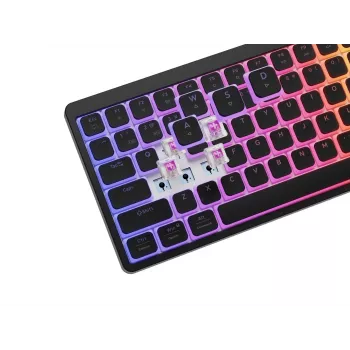 GENESIS Thor 430 TKL belaidė mechaninė žaidimų klaviatūra, Outemu Red jungikliai, RGB apšvietimas, trigubas režimas (USB-C/2.4GHz/Bluetooth), JAV anglų QWERTY, juoda