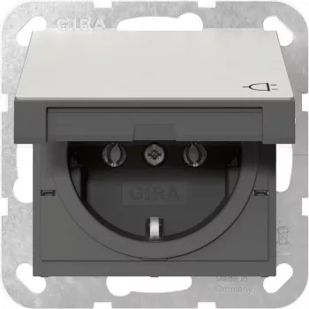 Gira 4454600 SCHUKO lizdas su atlenkiamu dangteliu, System 55, nerūdijantis plienas