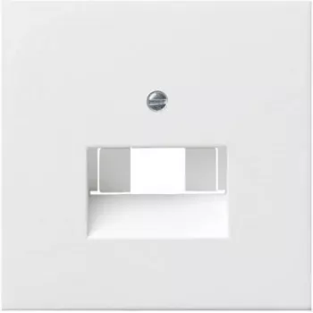 Gira System 55 dengiamoji plokštė UAE/IAE/ISDN lizdui, Pure White 0270112
